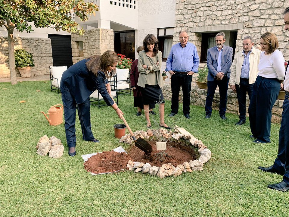 Μια αμπελιτσιά φύτεψε στη μνήμη του πρώην πρωθυπουργού η οικογένεια Μητσοτάκη [εικόνες] | iefimerida.gr 4