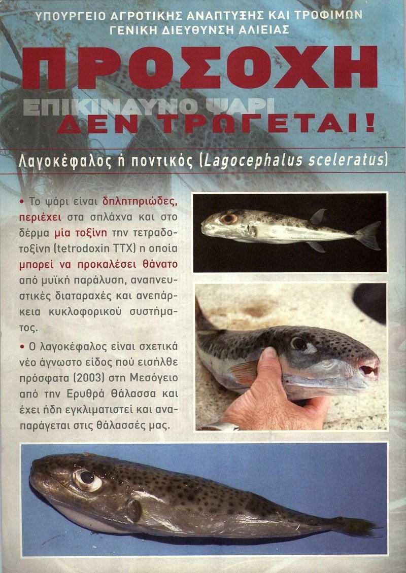 Το φυλλάδιο του υπουργείου