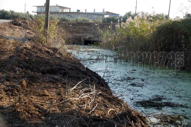 Στην είσοδο της ΒΙΠΕ Πρέβεζας από την πλευρά της Εθνικής όδου και συγκεκριμένα στην αρχή της τάφρου μετά τον δρόμο βρέθηκε τμήμα κρανίου από το οποίο λείπει η κάτω γνάθος.