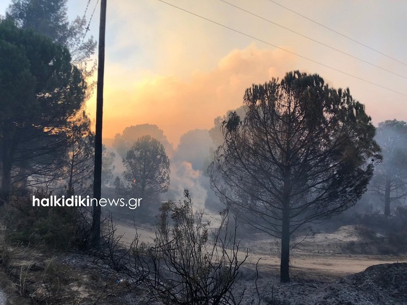 Ανεξέλεγκτη η φωτιά στη Σιθωνία Χαλκιδικής