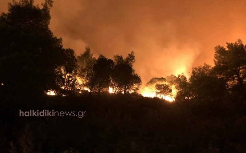 Δεν κινδύνευσαν άνθρωποι και περιουσίες