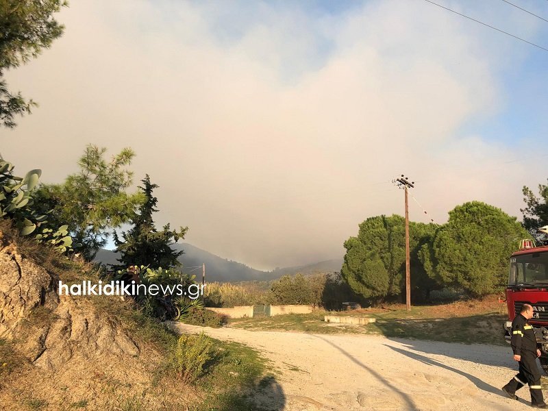 Οι εστίες είναι αρκετές και διάσπαρτες