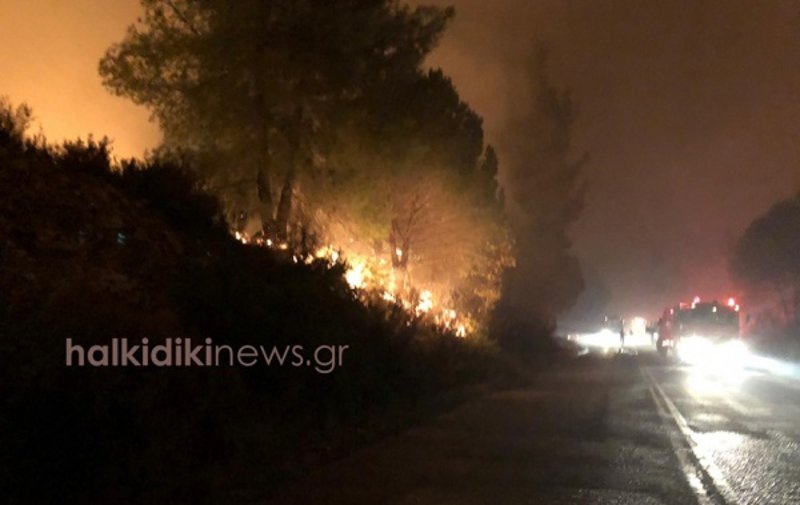 Η περιοχή στην οποία εκδηλώθηκε η φωτιά είναι εξαιρετικά δύσβατη, με πυκνή βλάστηση