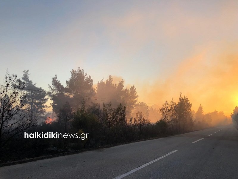 Τέσσερα αεροσκάφη συνδράμουν στην κατάσβεση, ενώ επιχειρούν 45 πυροσβέστες με 20 οχήματα και τρία πεζοπόρα τμήματα