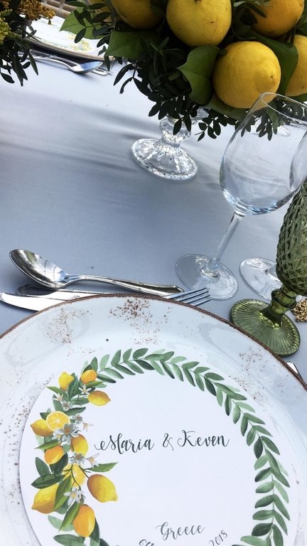 Σέξι νύφη με πέπλο κάπα η Οικονομάκου, με οσκαρικό νυφικό η Μενούνος -Η σύγκριση των γάμων [εικόνες] | iefimerida.gr 19