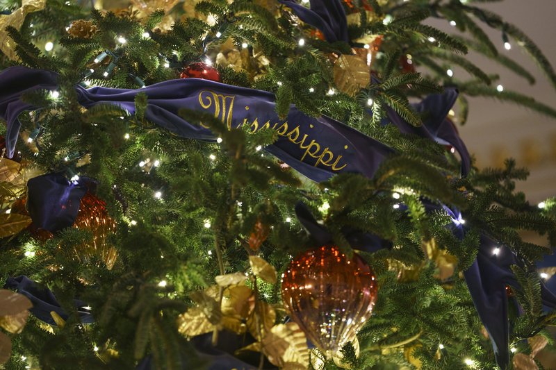Κορδέλες με συνθήματα κατά κοινωνικών στιγμάτων πάνω στα δέντρα