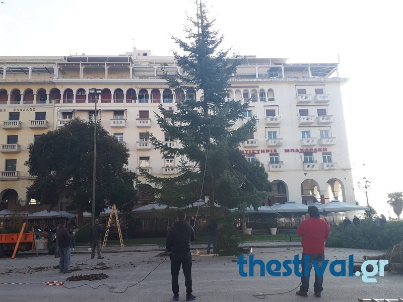 Θεσσαλονίκη: Στήθηκε το χριστουγεννιάτικο δέντρο στην πλατεία Αριστοτέλους [εικόνες & βίντεο] | iefimerida.gr 2