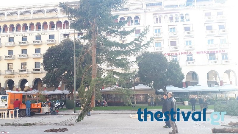 Θεσσαλονίκη: Στήθηκε το χριστουγεννιάτικο δέντρο στην πλατεία Αριστοτέλους [εικόνες & βίντεο] | iefimerida.gr 1