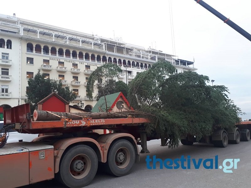 Θεσσαλονίκη: Στήθηκε το χριστουγεννιάτικο δέντρο στην πλατεία Αριστοτέλους [εικόνες & βίντεο] | iefimerida.gr 0