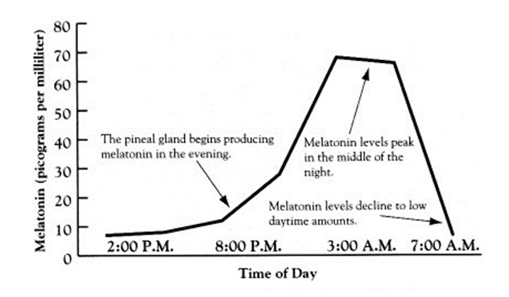 Εικόνα 1 Source: ChemWiki