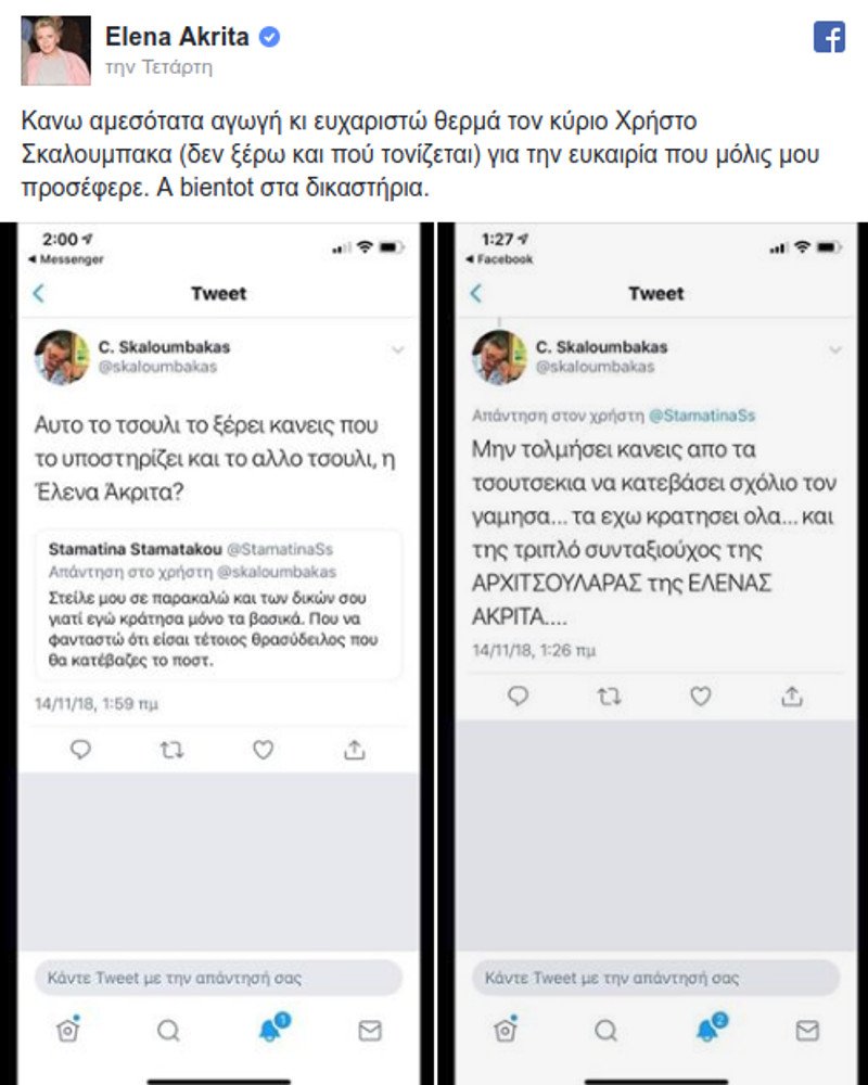 Στα δικαστήρια πάει η Ελενα Ακρίτα υβριστή της στο twitter- Καταθέτει αγωγή | iefimerida.gr 0
