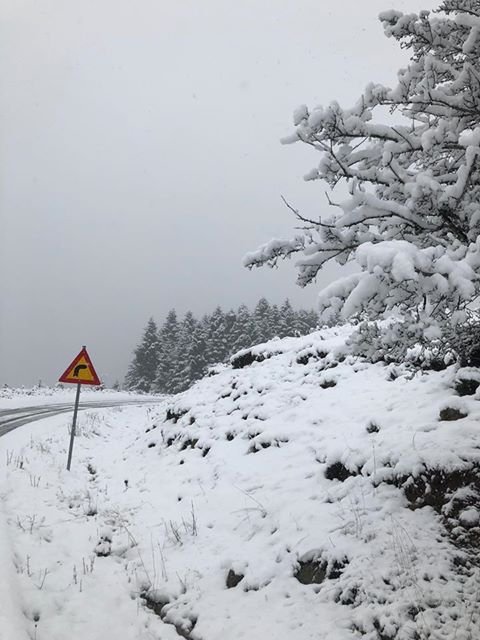 «Ντύθηκαν» στα λευκά τα ορεινά χωριά της Φθιώτιδας [εικόνες] | iefimerida.gr 1