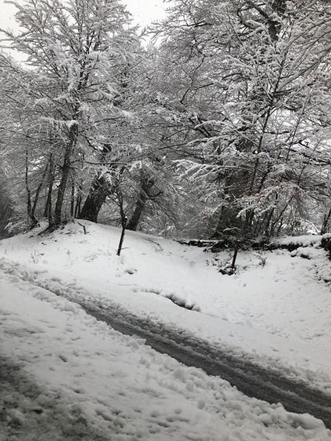 «Ντύθηκαν» στα λευκά τα ορεινά χωριά της Φθιώτιδας [εικόνες] | iefimerida.gr 2