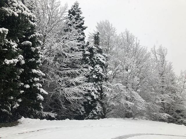 «Ντύθηκαν» στα λευκά τα ορεινά χωριά της Φθιώτιδας [εικόνες] | iefimerida.gr 3