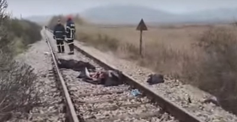 Φρίκη στην Κομοτηνή: Τρένο διαμέλισε μετανάστες [σκληρές εικόνες] | iefimerida.gr 2