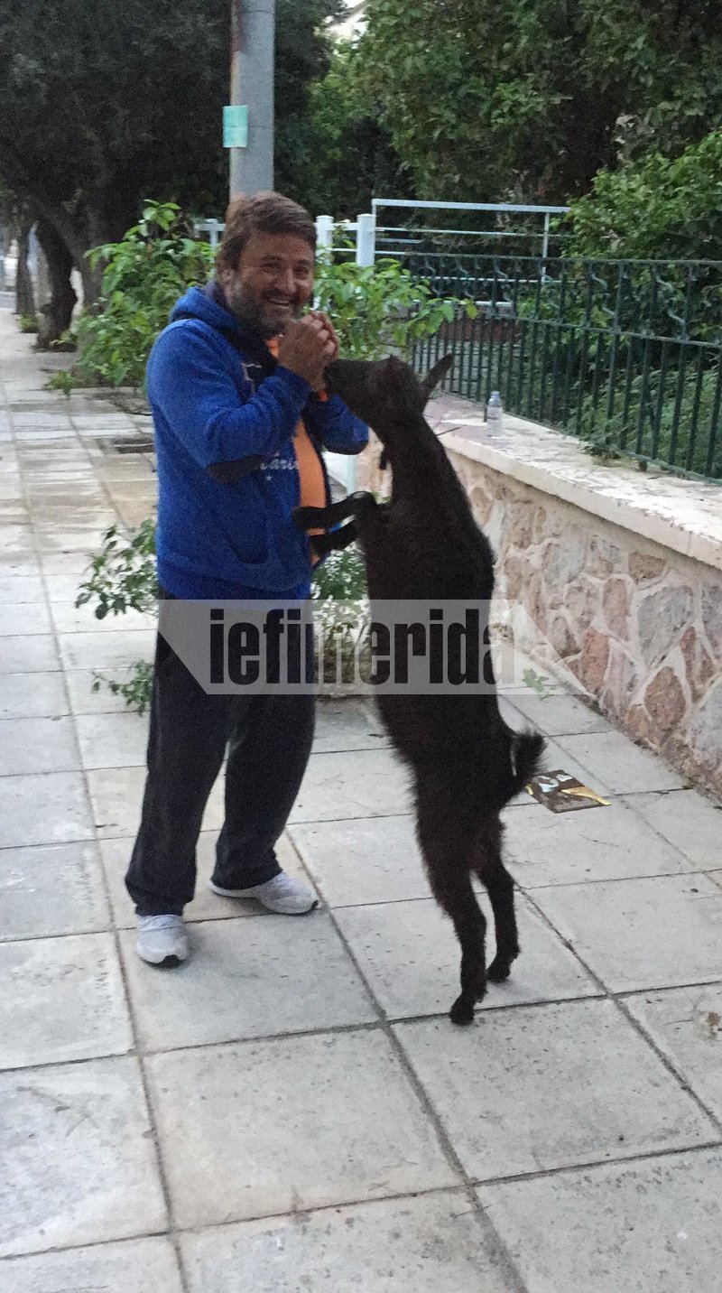 Η αγάπη δεν κρύβεται -Αγκαλιές στη μέση του δρόμου