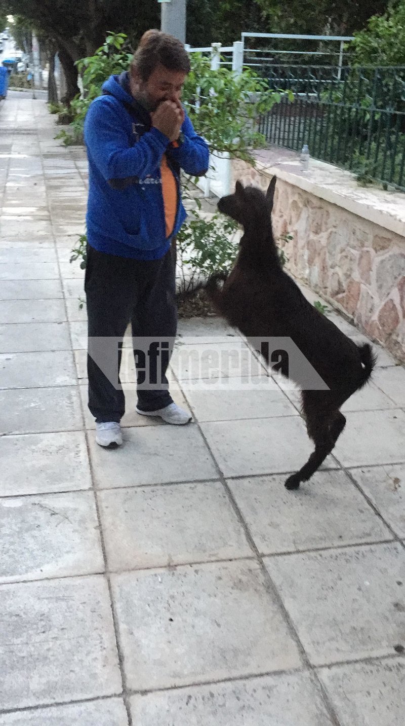 Η αγάπη είναι μεγάλη και από τις δύο πλευρές