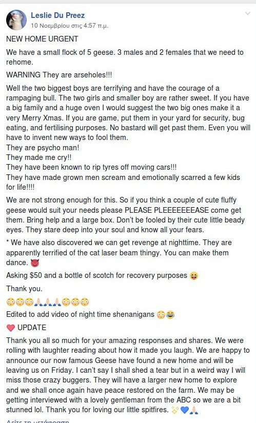 Viral ανάρτηση: Απηύδησε από τις χήνες και θέλει να τις πουλήσει- Ζητά μόνο 50 $ και ένα... μπουκάλι ουίσκι! [εικόνες]  | iefimerida.gr 1