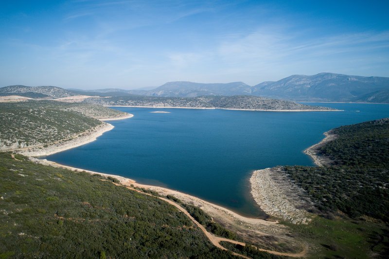 Κατά τους χειμερινούς μήνες η λίμνη Υλίκη φιλοξενεί αρκετό αριθμό πουλιών