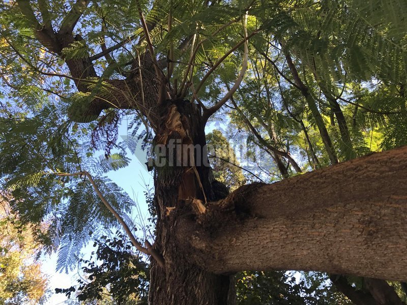 Από την πτώση δεν τραυματίστηκε κανείς.