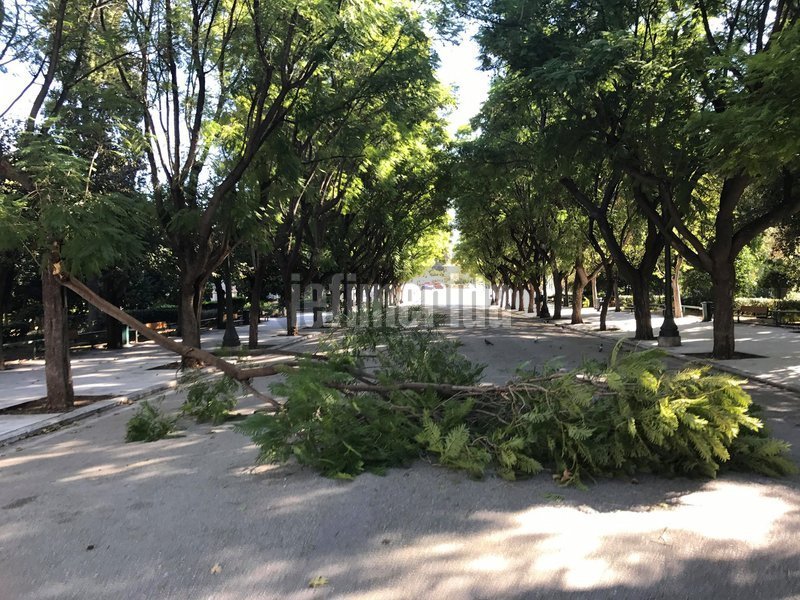 Το συμβάν σημειώθηκε το πρωί της Τρίτης.