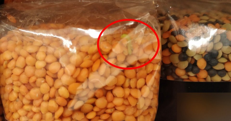 Κρήτη: Καταναλωτής βρήκε σκουλήκια μέσα σε συσκευασίες με όσπρια [εικόνα] | iefimerida.gr 0