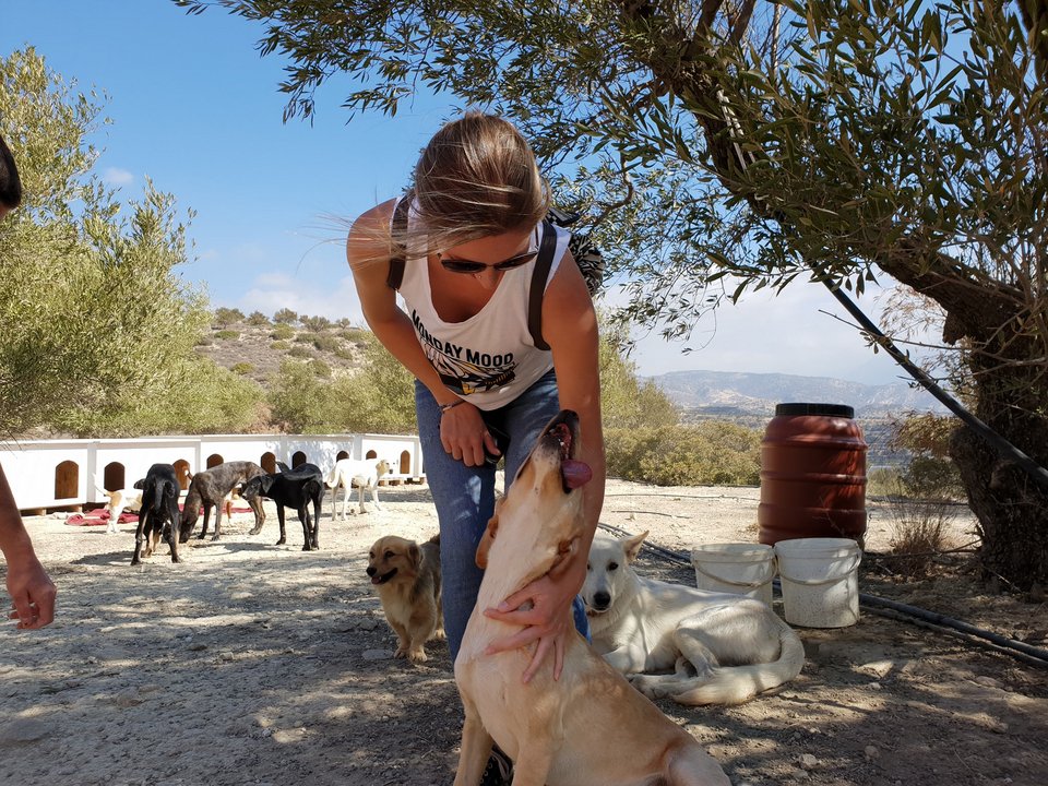 Ο «Αγιος των Σκύλων» από την Ιεράπετρα που έχει γίνει παγκόσμιο viral -Eχει φροντίσει και γιατρέψει 500 ζωάκια [εικόνες] | iefimerida.gr 1