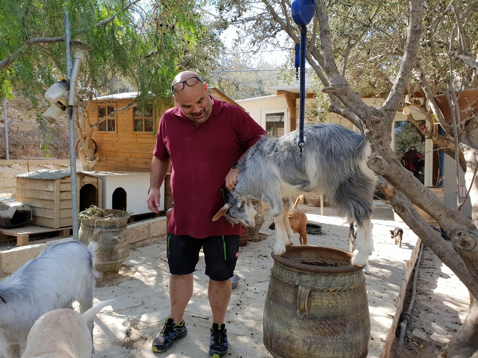 Ο «Αγιος των Σκύλων» από την Ιεράπετρα που έχει γίνει παγκόσμιο viral -Eχει φροντίσει και γιατρέψει 500 ζωάκια [εικόνες] | iefimerida.gr 4