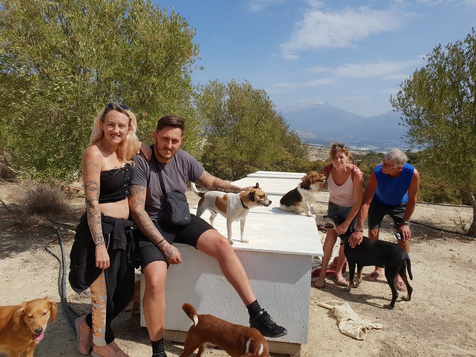 Ο «Αγιος των Σκύλων» από την Ιεράπετρα που έχει γίνει παγκόσμιο viral -Eχει φροντίσει και γιατρέψει 500 ζωάκια [εικόνες] | iefimerida.gr 5