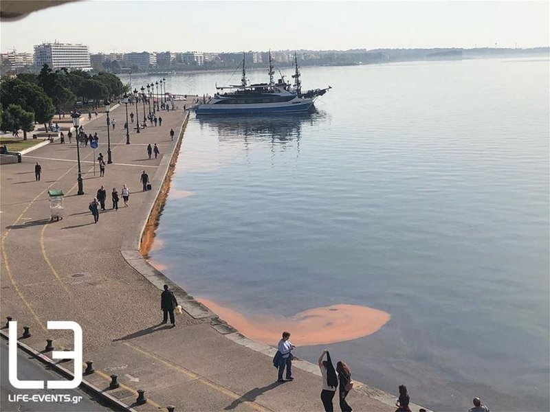 Το φαινόμενο της ερυθράς παλίρροιας οφείλεται στα γνώριμα στον όρμο ετερότροφα δινομαστιγωτά Nictiluca και Spatulodinium