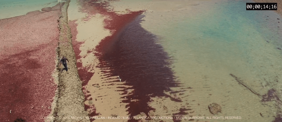 Βρέθηκε η χαμένη Ατλαντίδα; Ειδικοί υποστηρίζουν ότι την εντόπισαν στη Μεσόγειο [εικόνες & βίντεο] | iefimerida.gr 4