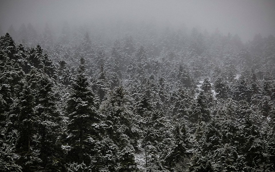 Η Αρκαδία στα... λευκά -Το Μαίναλο γεμάτο χιόνια [εικόνες] | iefimerida.gr 6