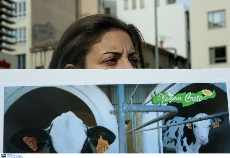 «Εφοδος» των Vegan στη Βαρβάκειο- Mε μάσκες γουρουνιών και μαύρα ρούχα [εικόνες]  | iefimerida.gr 9