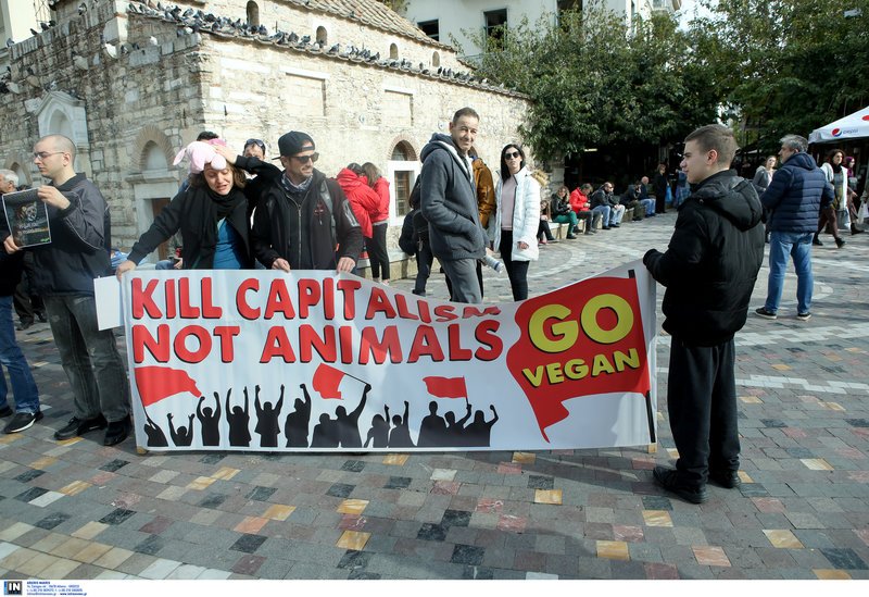«Εφοδος» των Vegan στη Βαρβάκειο- Mε μάσκες γουρουνιών και μαύρα ρούχα [εικόνες]  | iefimerida.gr 8