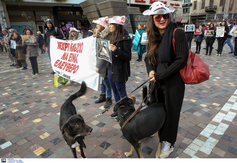 «Εφοδος» των Vegan στη Βαρβάκειο- Mε μάσκες γουρουνιών και μαύρα ρούχα [εικόνες]  | iefimerida.gr 3