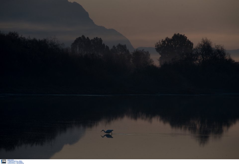Μοναδικής ομορφιάς στιγμιότυπα από τη λιμνοθάλασσα στο Μεσολόγγι [εικόνες] | iefimerida.gr 6