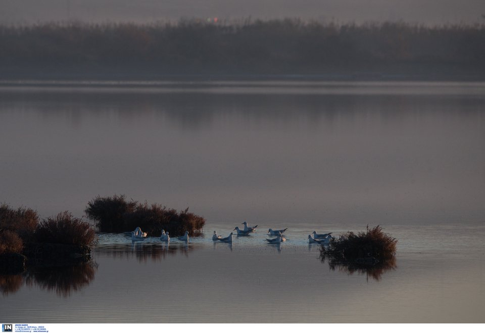 Μοναδικής ομορφιάς στιγμιότυπα από τη λιμνοθάλασσα στο Μεσολόγγι [εικόνες] | iefimerida.gr 11