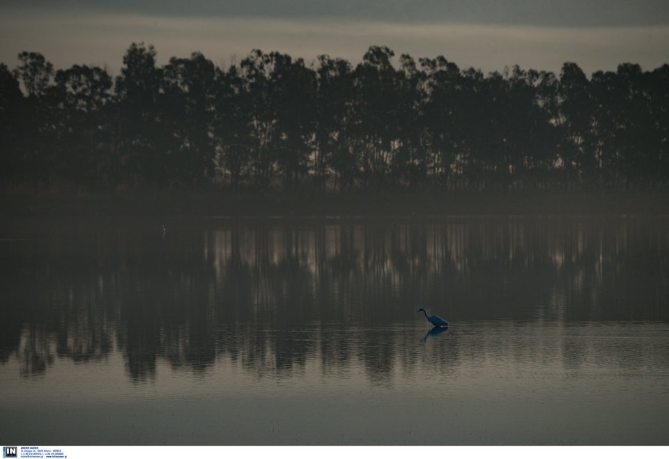 Μοναδικής ομορφιάς στιγμιότυπα από τη λιμνοθάλασσα στο Μεσολόγγι [εικόνες] | iefimerida.gr 9