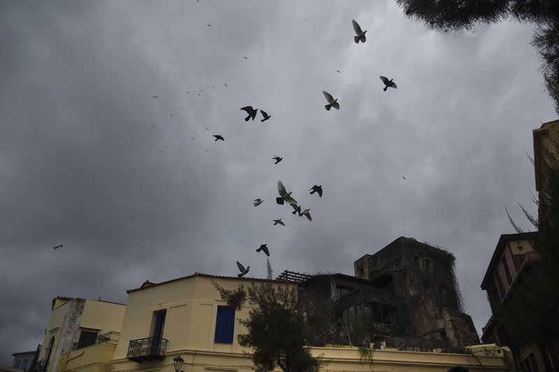 Μέχρι και τα πουλιά σκιάχτηκαν και ψάχνουν καταφύγιο -Φωτογραφία: EUROKINISSI/ΜΙΧΑΛΗΣ ΚΑΡΑΓΙΑΝΝΗΣ