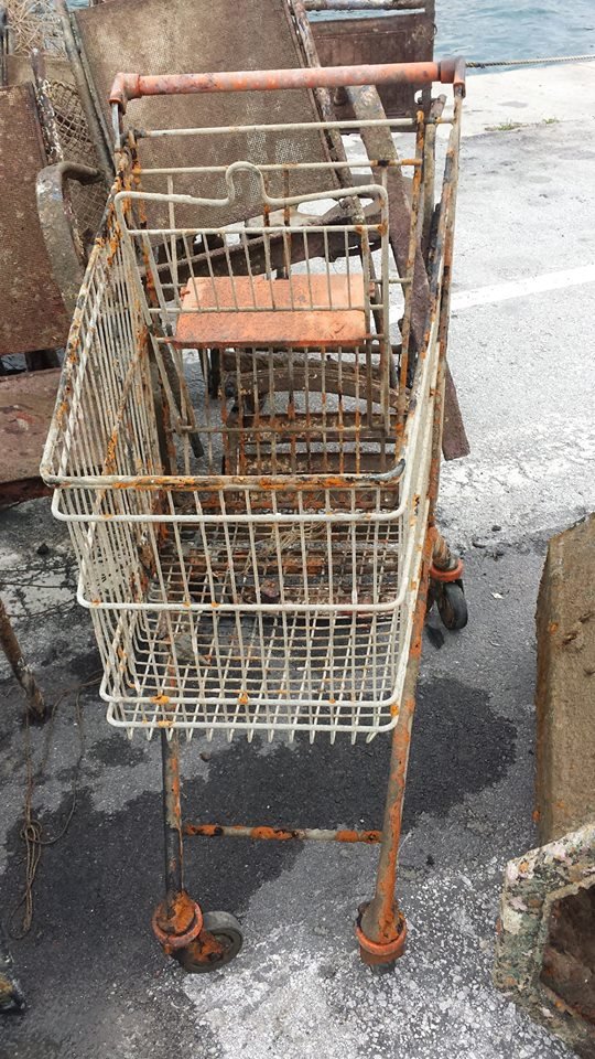 Απίστευτο! Καθάρισαν τον βυθό στο Γύθειο και βρήκαν από ποδήλατα μέχρι καρότσια σούπερ μάρκετ [εικόνες] | iefimerida.gr 9