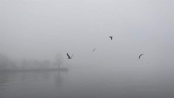 Μαγικό τοπίο: Η λίμνη Ιωαννίνων εξαφανίστηκε λόγω της πυκνής ομίχλης [εικόνες] | iefimerida.gr 2