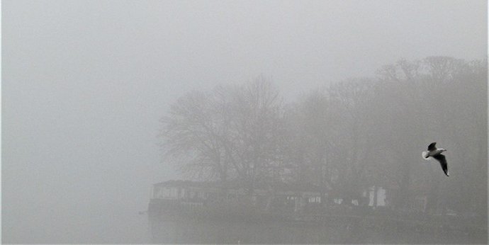 Μαγικό τοπίο: Η λίμνη Ιωαννίνων εξαφανίστηκε λόγω της πυκνής ομίχλης [εικόνες] | iefimerida.gr 5