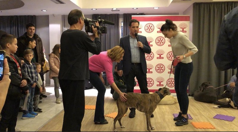 Μια ξεχωριστή εκδήλωση από τον Αδωνι: Παιδιά διάβασαν αρχαίο κείμενο σε σκύλους-ακροατές [εικόνες & βίντεο] | iefimerida.gr 1