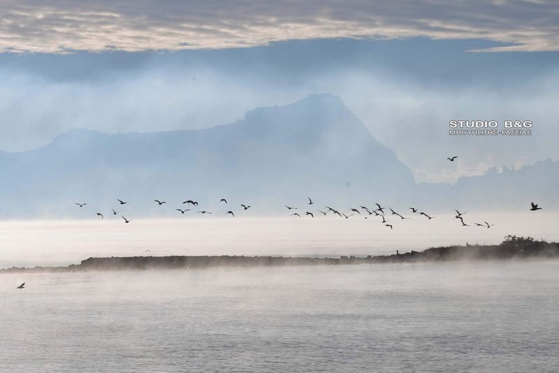 Εντυπωσιακό φαινόμενο: Η θάλασσα στο Ναύπλιο «βράζει» [εικόνες & βίντεο] | iefimerida.gr 5