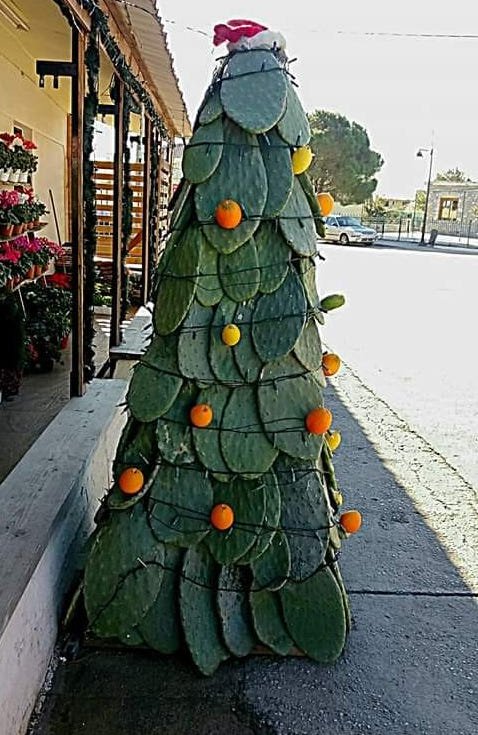 Αυτό το χριστουγεννιάτικο δέντρο στη Μάνη είναι μακράν το πιο πρωτότυπο σε όλη τη χώρα [εικόνα] | iefimerida.gr 0