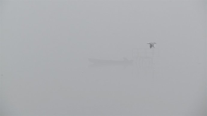 Μαγικό τοπίο: Η λίμνη Ιωαννίνων εξαφανίστηκε λόγω της πυκνής ομίχλης [εικόνες] | iefimerida.gr 4