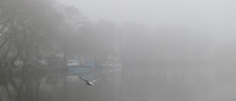 Μαγικό τοπίο: Η λίμνη Ιωαννίνων εξαφανίστηκε λόγω της πυκνής ομίχλης [εικόνες] | iefimerida.gr 6