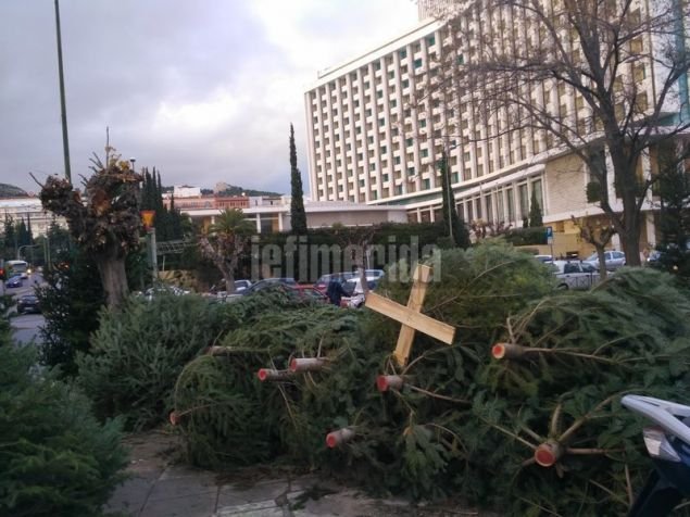 Η αγορά ελάτου μπροστά στο Χίλτον / Φωτογραφία: iefimerida