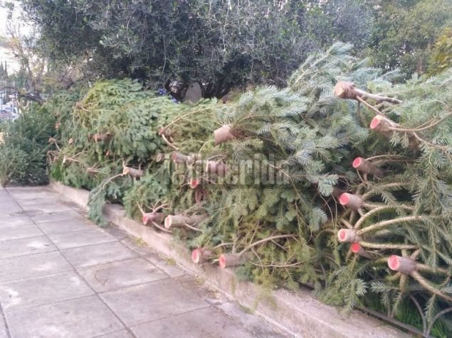 Oι παραγωγοί είναι αισιόδοξοι για τις φετινές πωλήσεις / Φωτογραφία: iefimerida