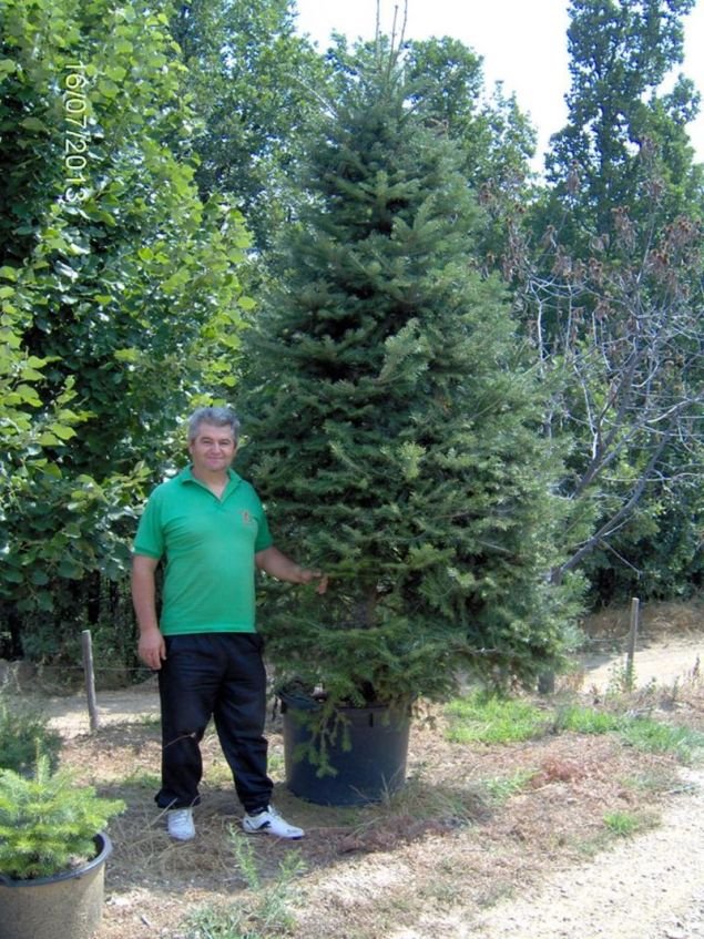 Ο Θανάσης Καρανταγλής / Φωτογραφία: Facebook